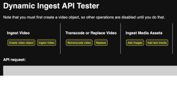 Dynamic Ingest API Tester