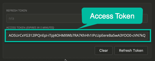 Access Token